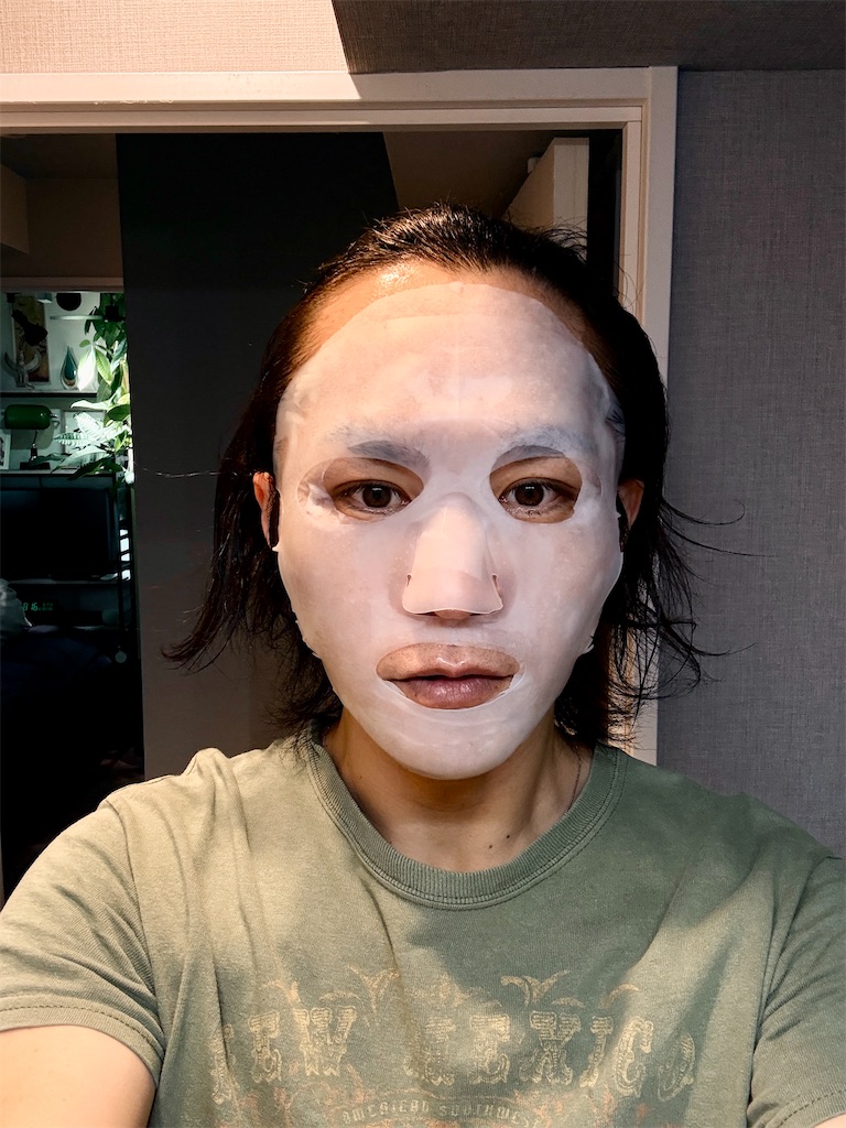 f:id:gohatori:20250617085732j:image