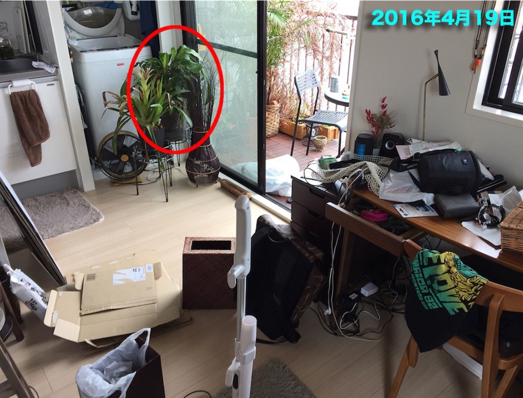 f:id:gohatori:20250815105404j:image