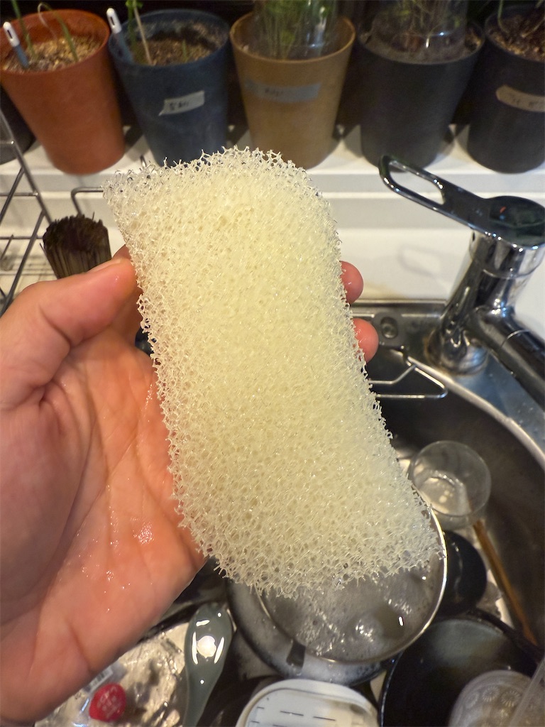 f:id:gohatori:20251005180258j:image f:id:gohatori:20251005180258j:image