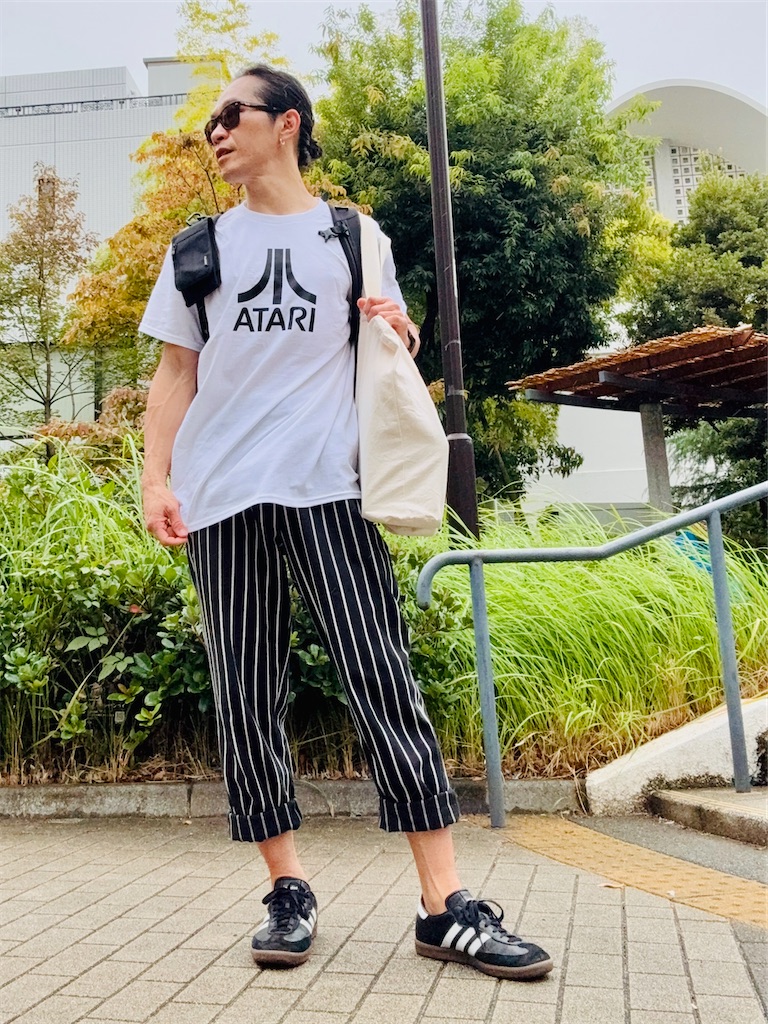 f:id:gohatori:20251103224606j:image