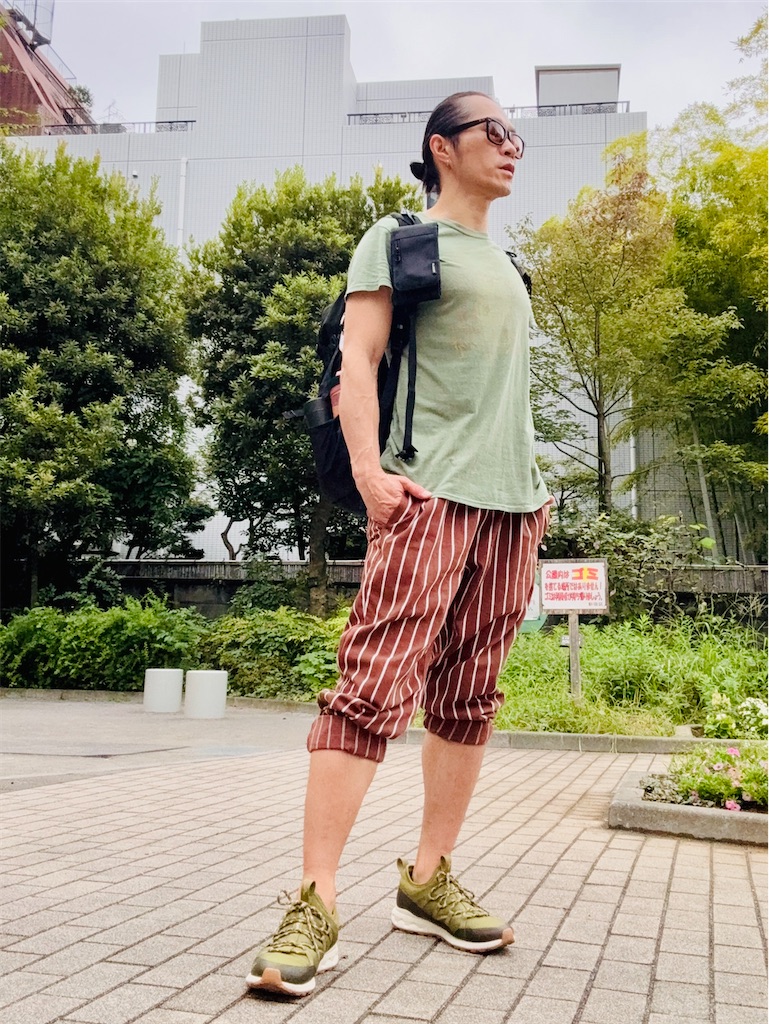f:id:gohatori:20251103224616j:image