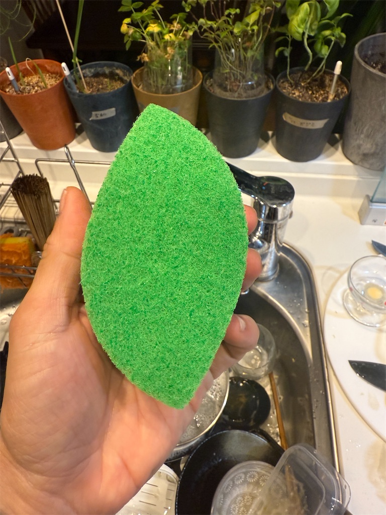 f:id:gohatori:20251122114905j:image f:id:gohatori:20251122114905j:image