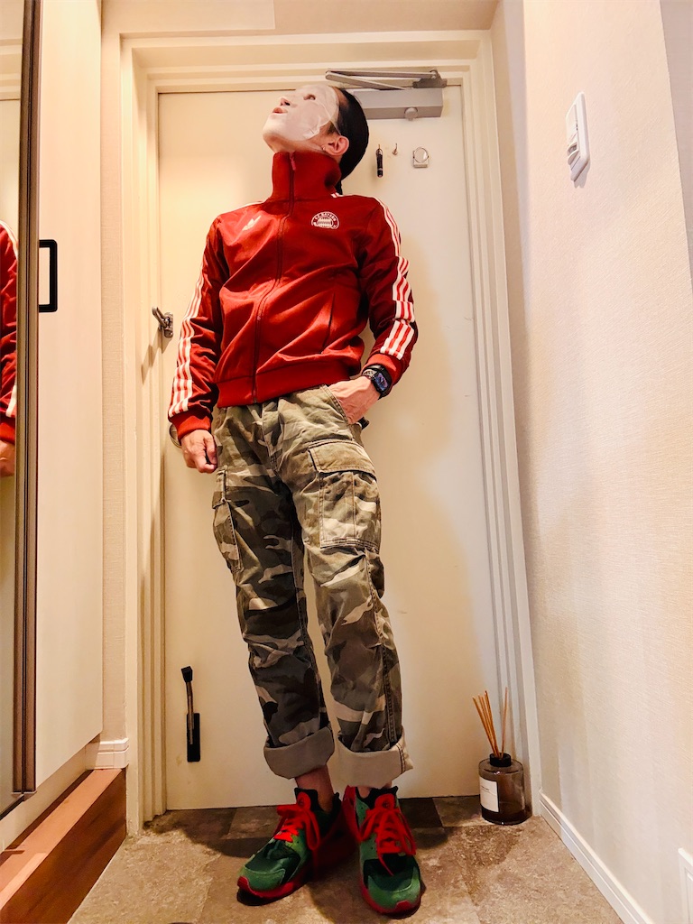 f:id:gohatori:20251122194235j:image