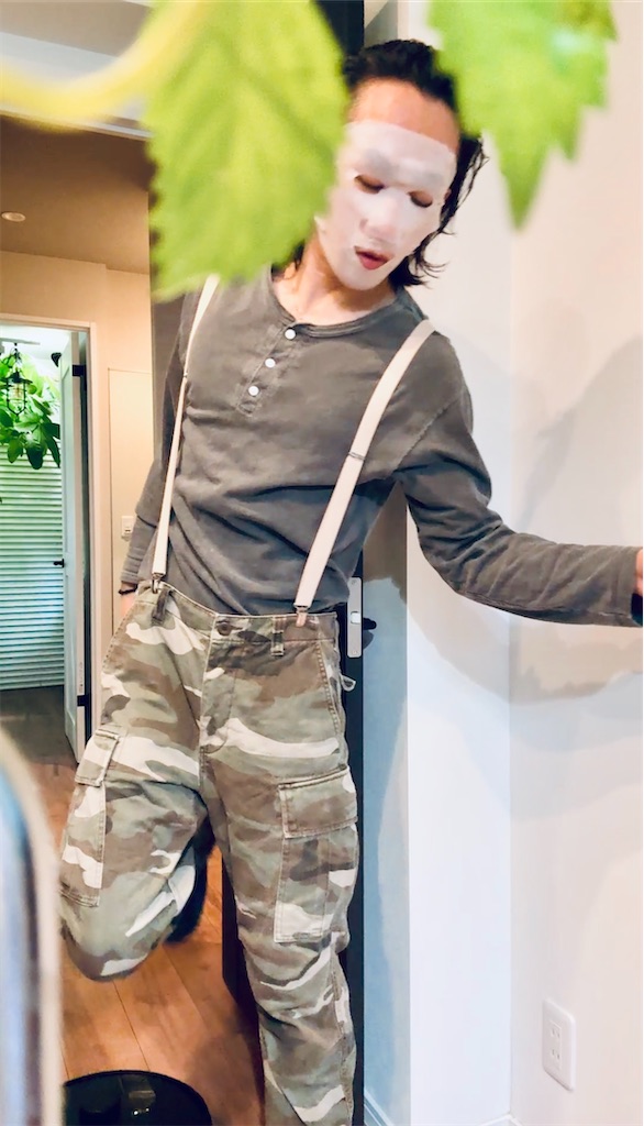 f:id:gohatori:20251122194339j:image