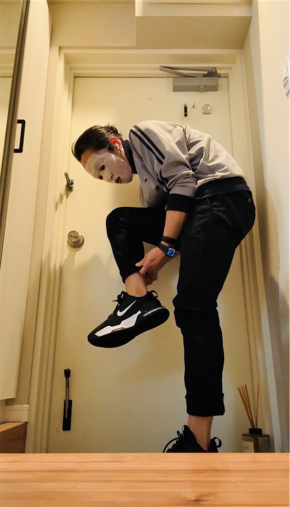 f:id:gohatori:20251122194354j:image