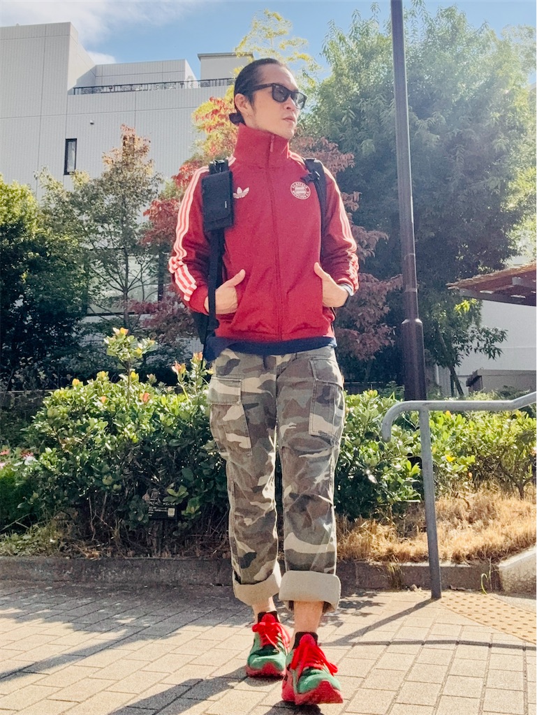 f:id:gohatori:20251124141633j:image