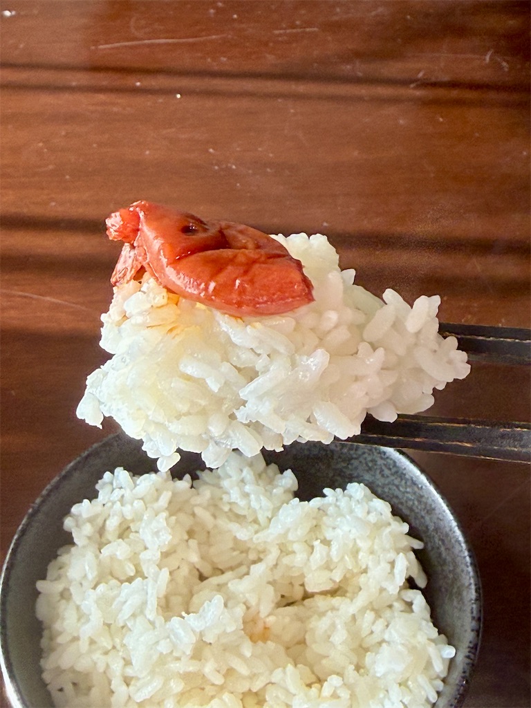 f:id:gohatori:20251231081339j:image