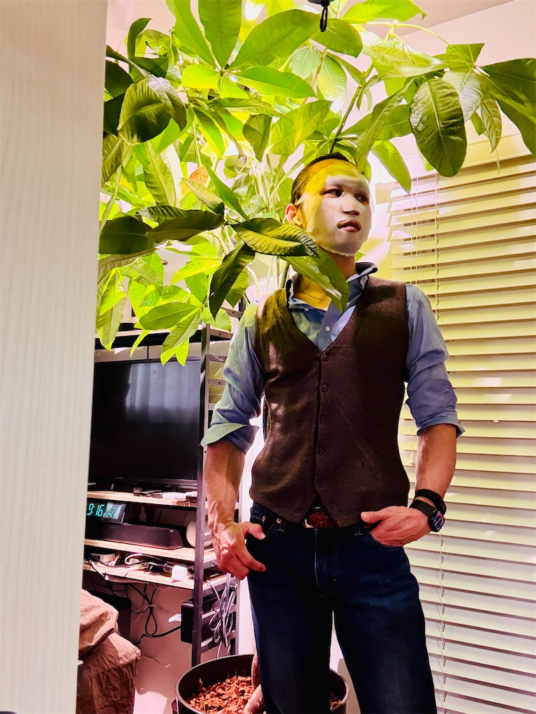 f:id:gohatori:20260106070127j:image f:id:gohatori:20260106070127j:image