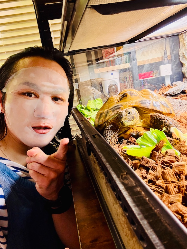 f:id:gohatori:20260107020406j:image