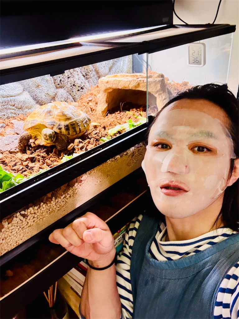 f:id:gohatori:20260107020413j:image