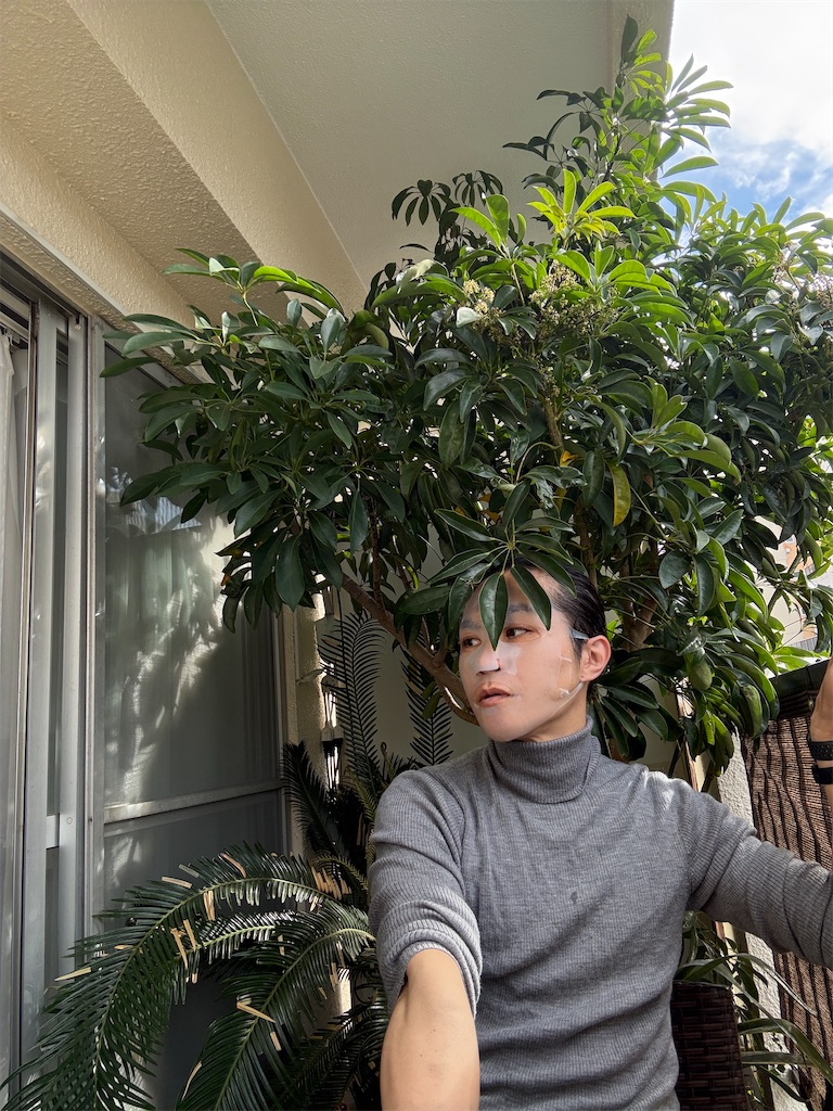 f:id:gohatori:20260107020540j:image