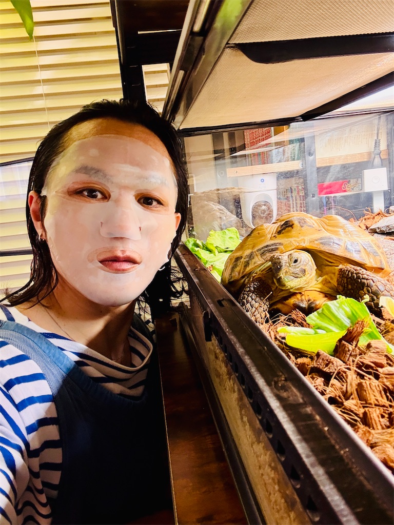 f:id:gohatori:20260107020618j:image
