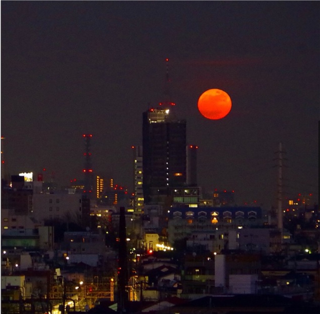 f:id:gohatori:20260112093019j:image