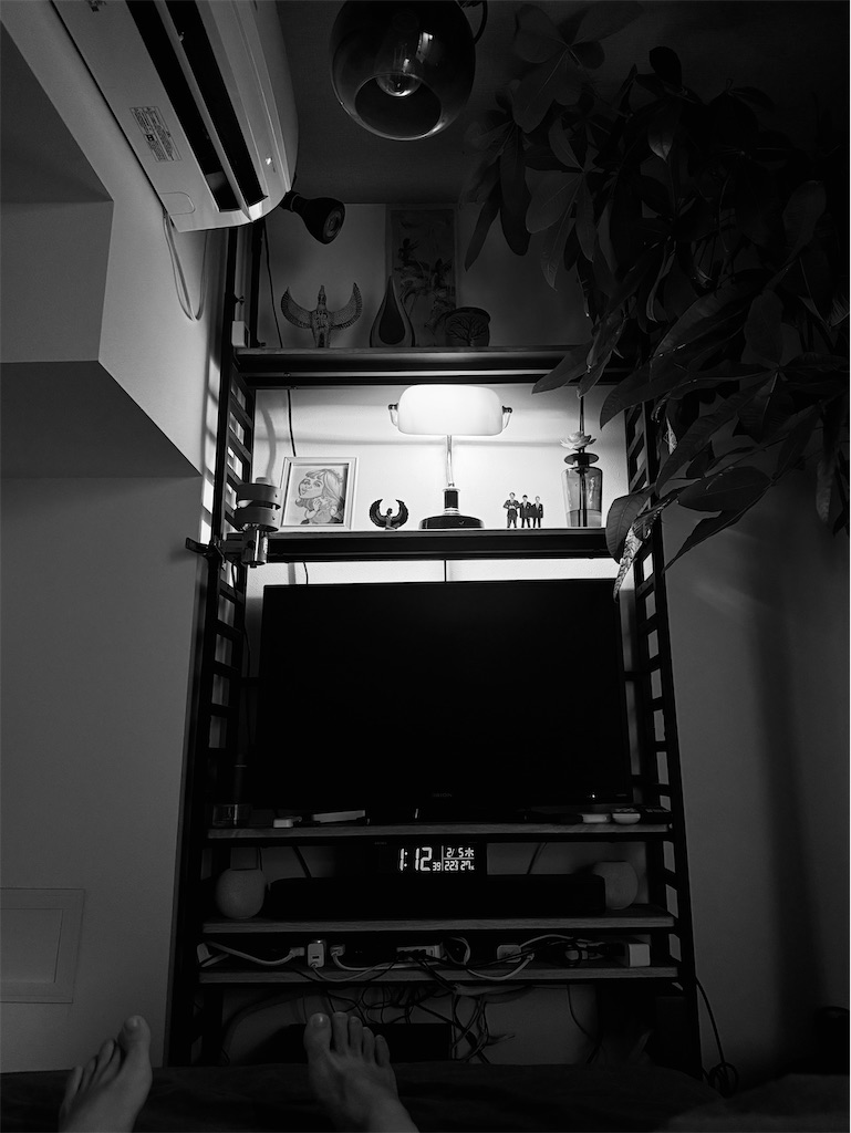 f:id:gohatori:20260205011617j:image f:id:gohatori:20260205011617j:image