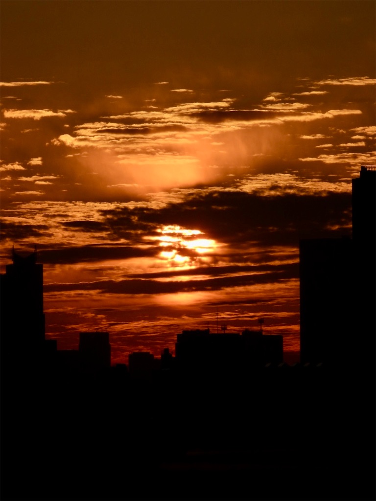 f:id:gohatori:20260214115940j:image f:id:gohatori:20260214115940j:image