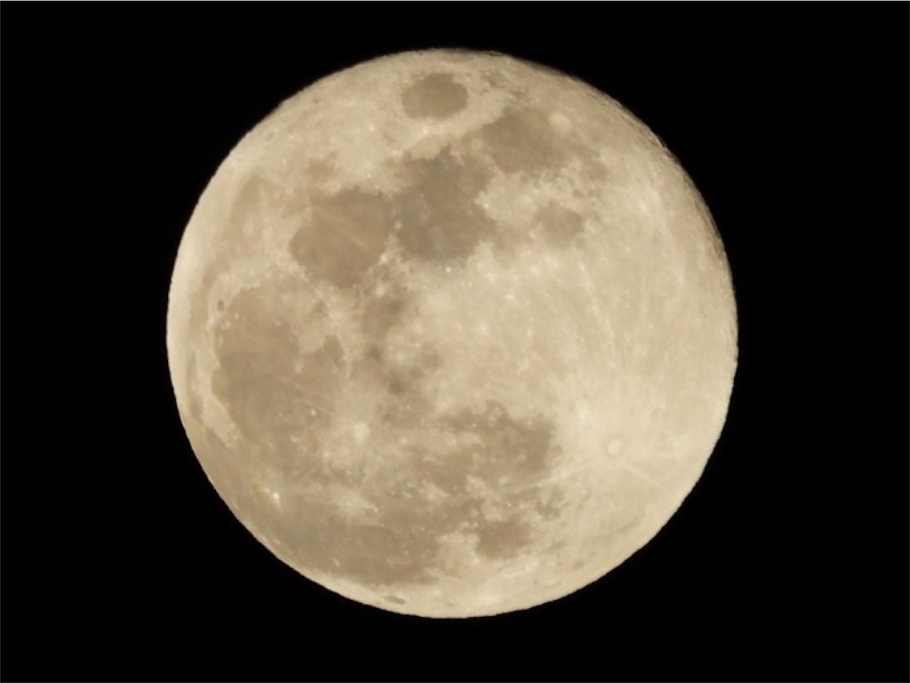 f:id:gohatori:20260214120149j:image f:id:gohatori:20260214120149j:image