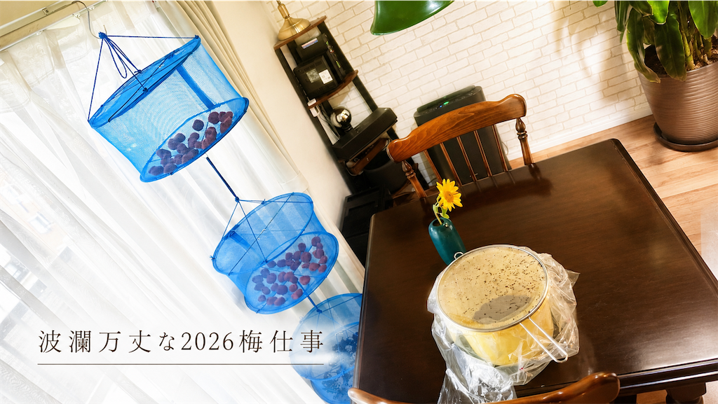 f:id:gohatori:20260806064346p:image f:id:gohatori:20260806064346p:image
