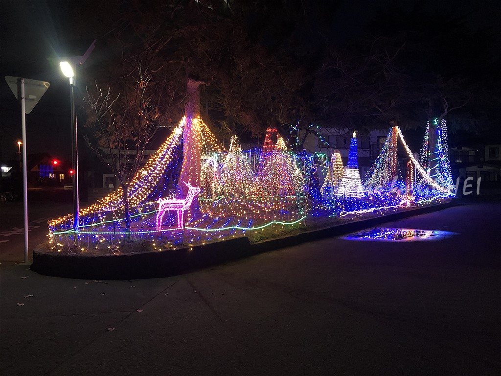 f:id:gohee:20211209165734j:plain