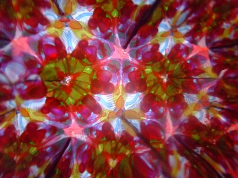 f:id:going555:20160624060447j:plain f:id:going555:20160624060447j:plain