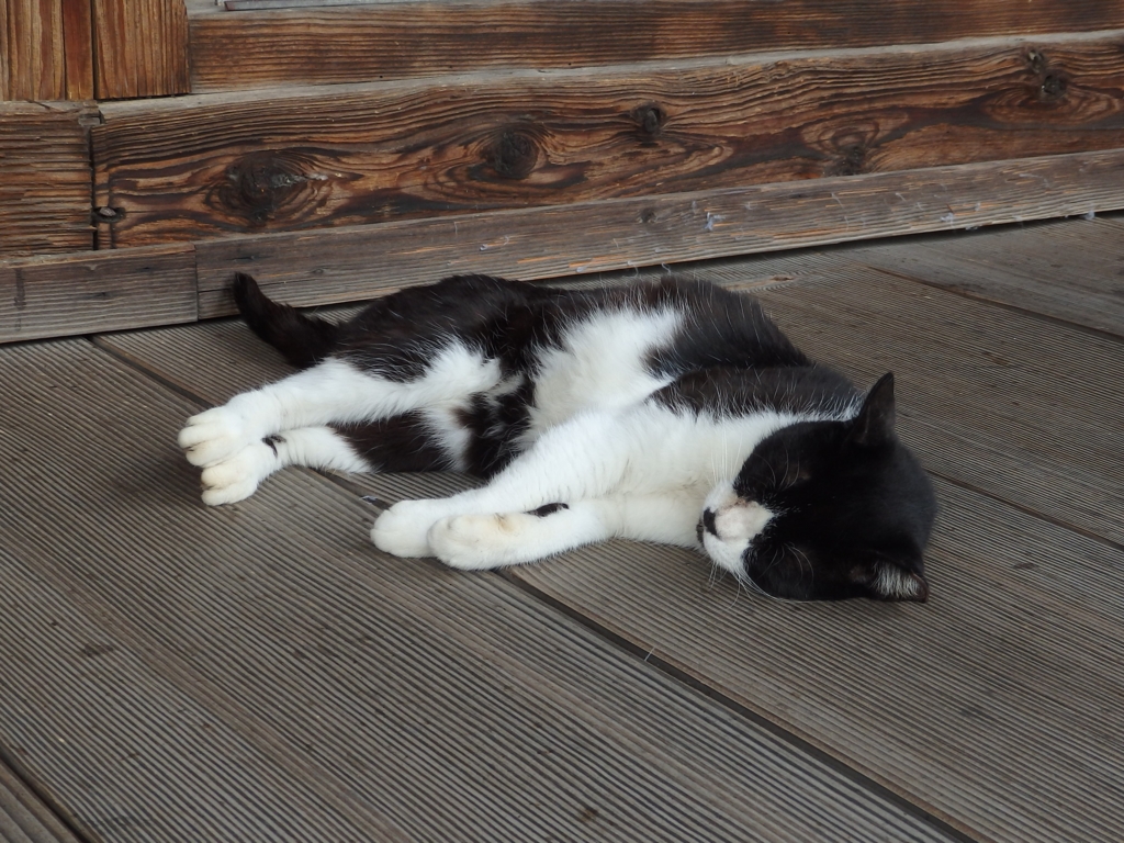 f:id:goisan:20160811134939j:plain