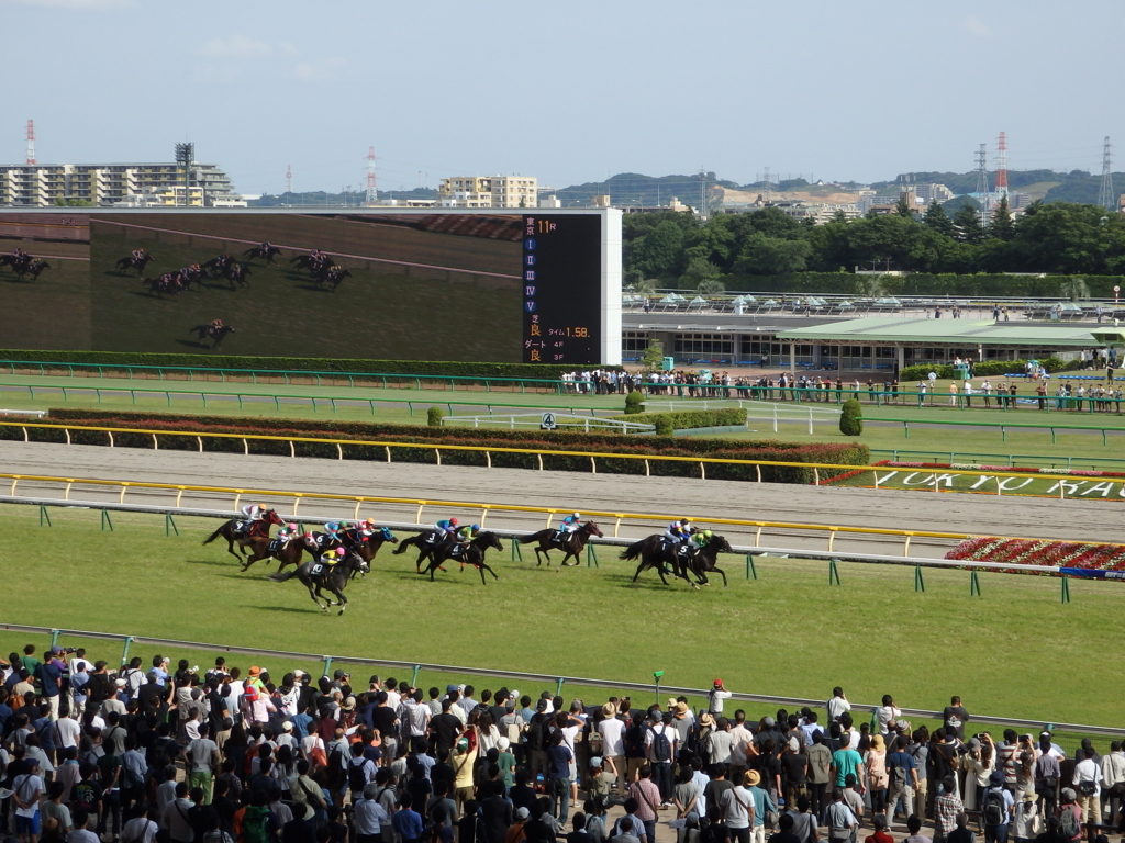 f:id:goisan:20170617160416j:plain