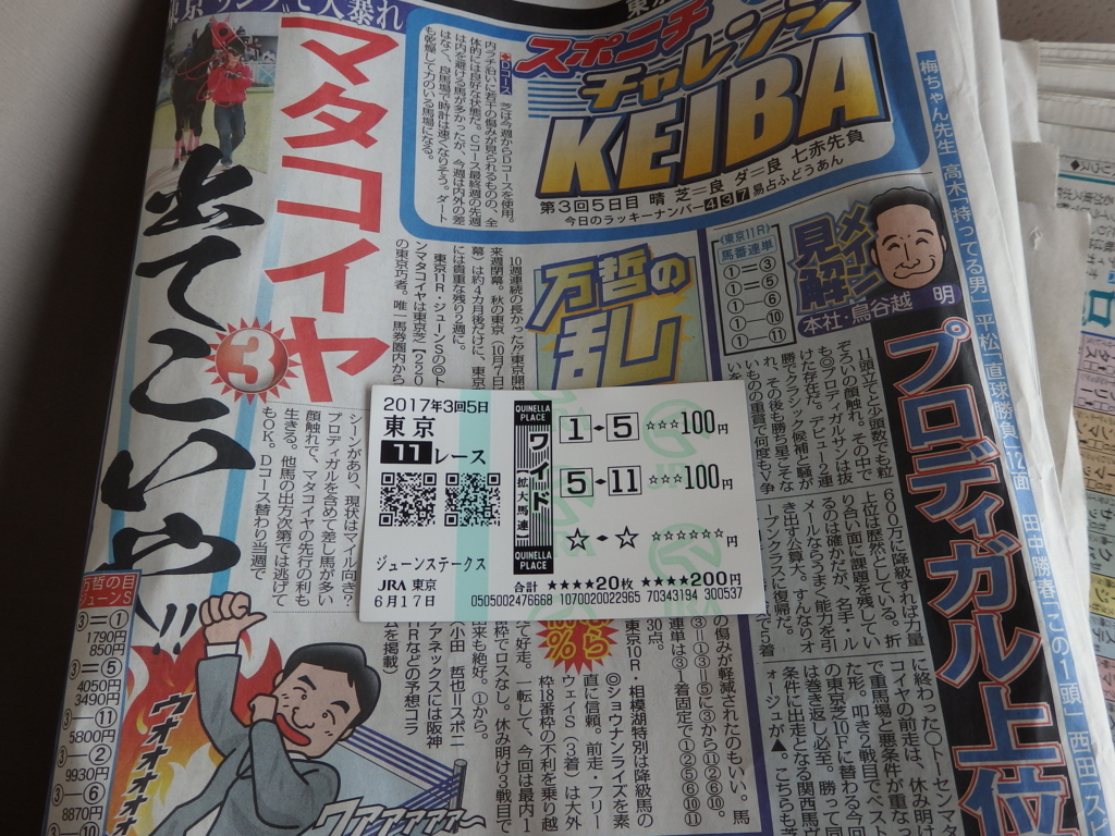 f:id:goisan:20170617160635j:plain