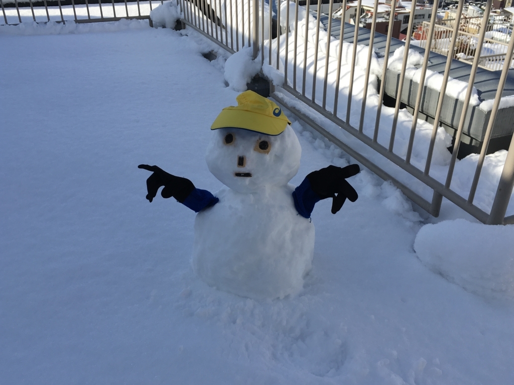 f:id:goisan:20180123100719j:plain