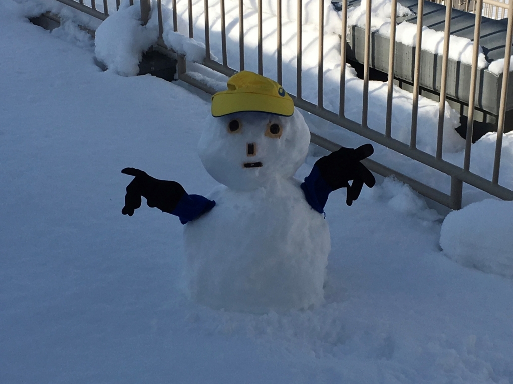 f:id:goisan:20180123100735j:plain