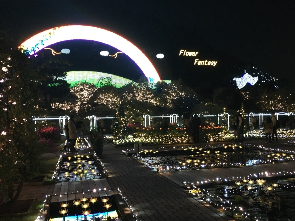 f:id:goisan:20181103172417j:plain