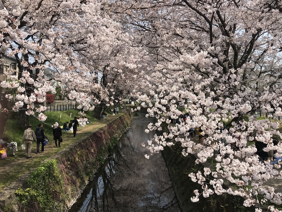f:id:goisan:20190407121701j:plain
