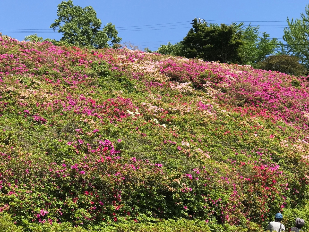 f:id:goisan:20190507132321j:plain