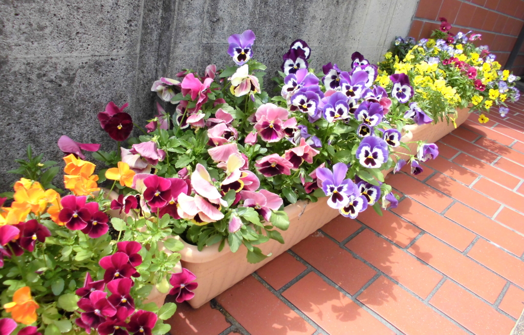 f:id:gojolibrary:20170515110024j:plain