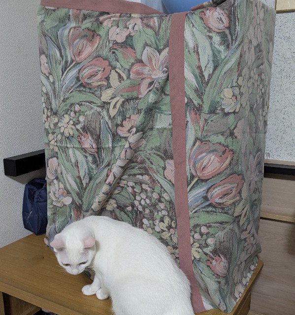 f:id:gojoru1207:20250623201436j:image
