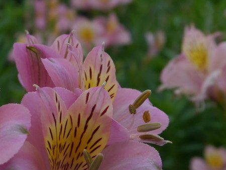 f:id:gokaken:20120722061750j:image f:id:gokaken:20120722061750j:image