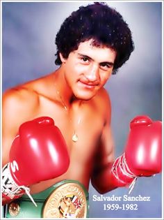 f:id:gokanno:20170106022217j:plain