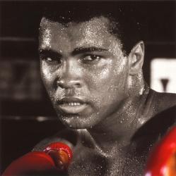 f:id:gokanno:20190615223204j:plain f:id:gokanno:20190615223204j:plain