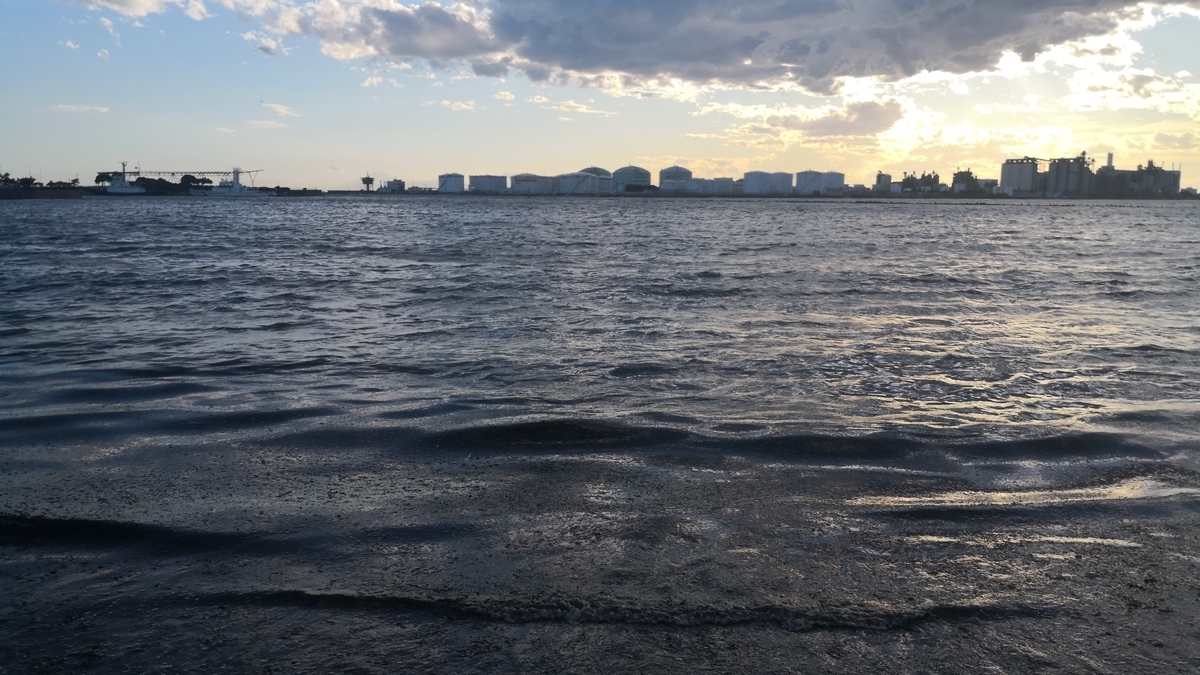 f:id:gokenundou:20190905202231j:plain