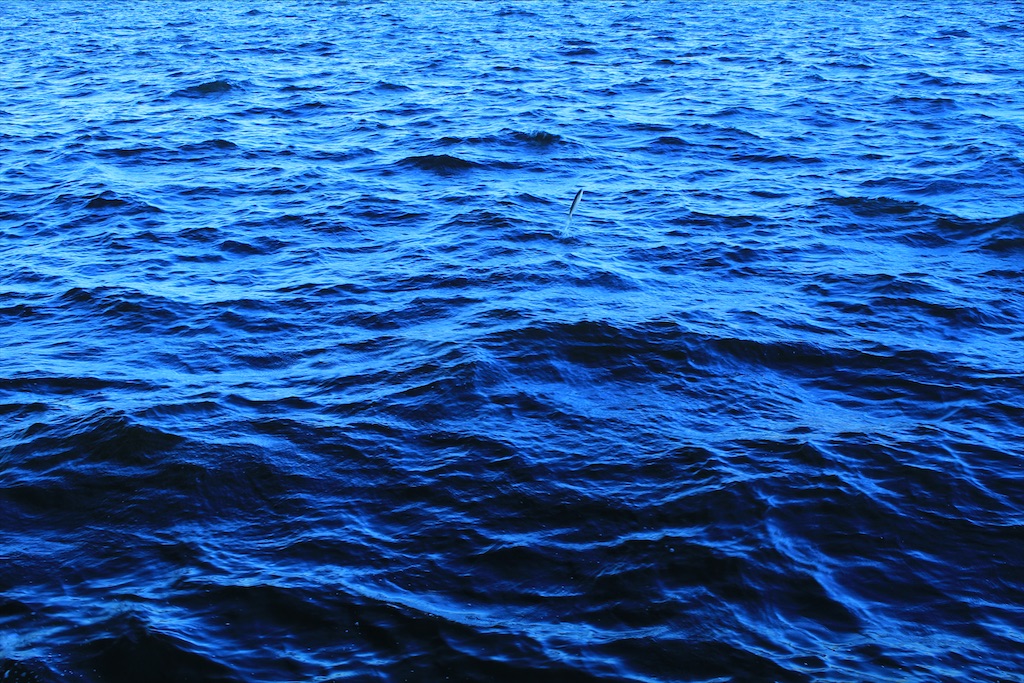 f:id:gokenvv2206:20200811220019j:image f:id:gokenvv2206:20200811220019j:image