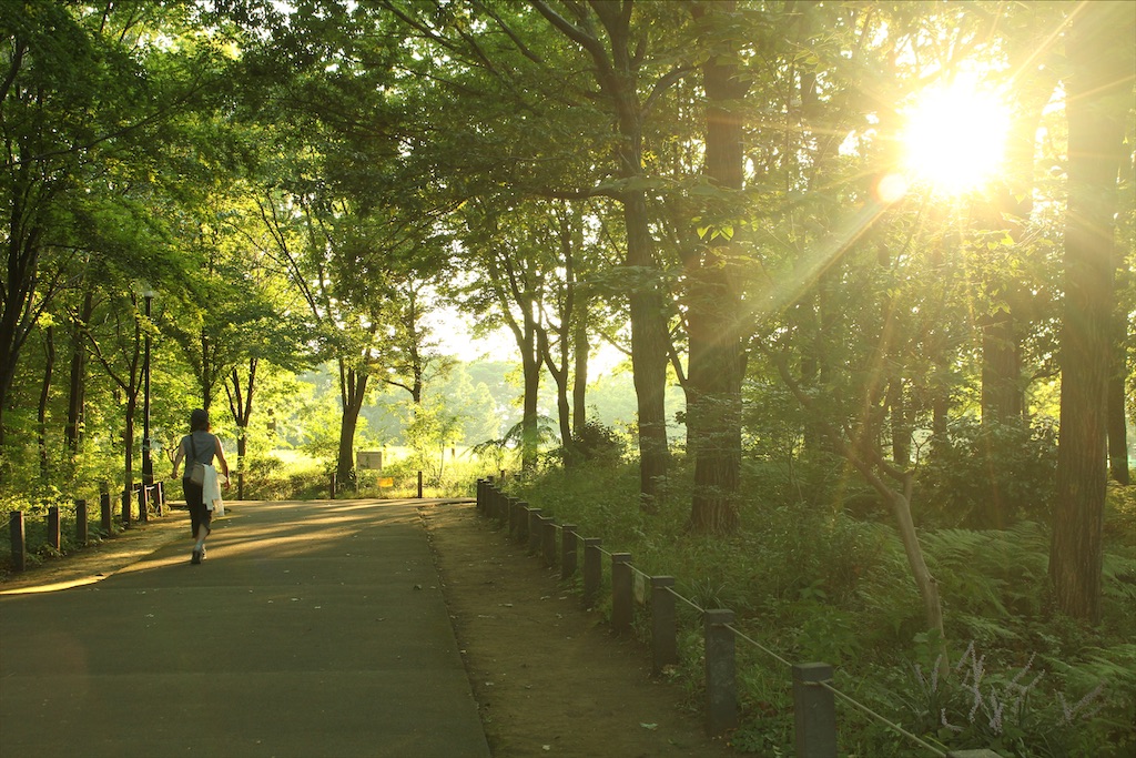 f:id:gokenvv2206:20200815211410j:image f:id:gokenvv2206:20200815211410j:image