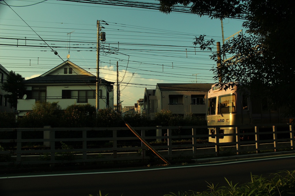 f:id:gokenvv2206:20200815211632j:image f:id:gokenvv2206:20200815211632j:image