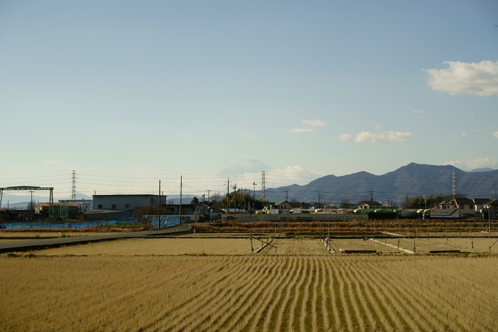f:id:gokidon2015:20160110233819j:plain