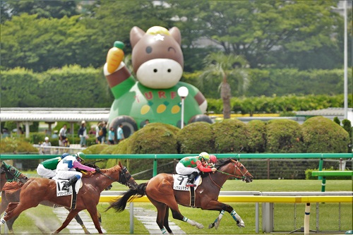 f:id:gokidon2015:20160613153622j:plain