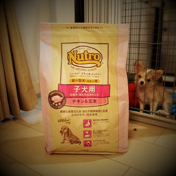 f:id:gokidon2015:20160911191605j:plain