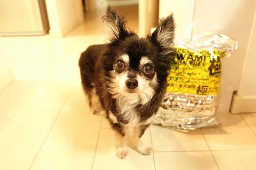 f:id:gokidon2015:20160925092133j:plain