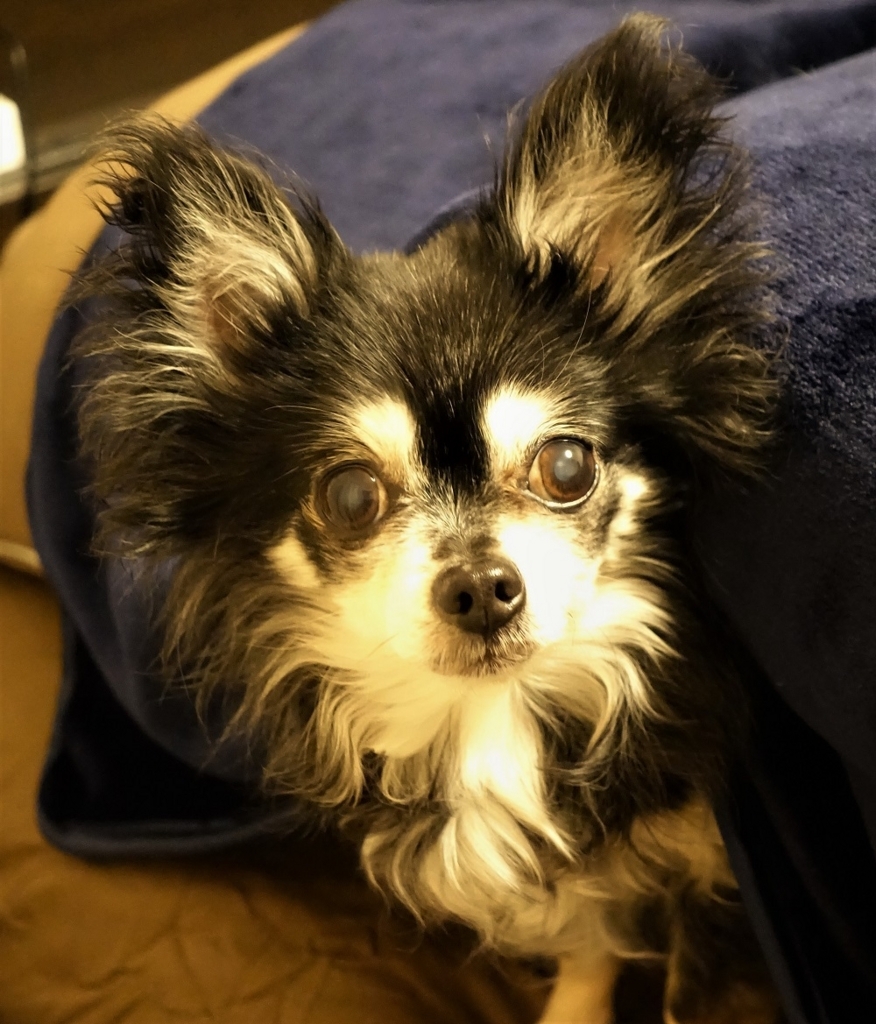 f:id:gokidon2015:20180214201438j:plain