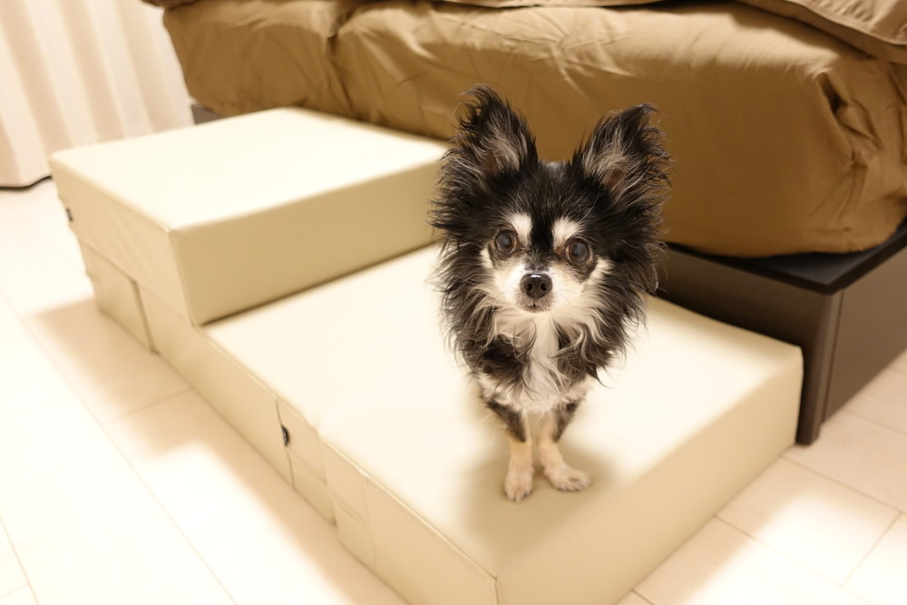 f:id:gokidon2015:20180214214744j:plain