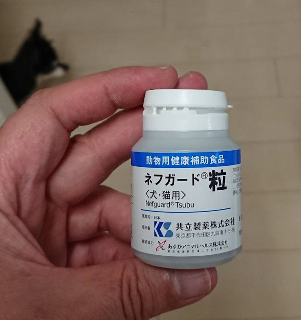 f:id:gokidon2015:20180624132227j:plain