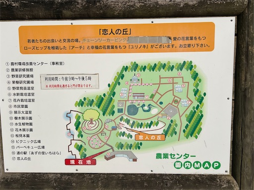 f:id:gokigen-fuko:20240614213304j:image