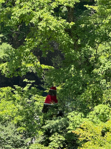 f:id:gokigen-fuko:20250703205529j:image f:id:gokigen-fuko:20250703205529j:image