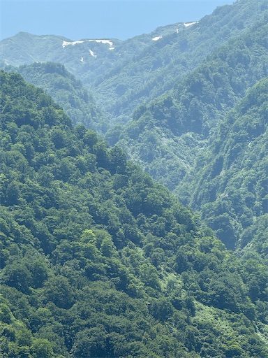 f:id:gokigen-fuko:20250704113010j:image f:id:gokigen-fuko:20250704113010j:image